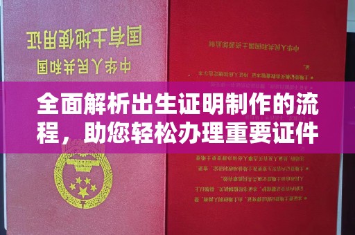 民众全面解析出生证明制作的流程，助您轻松办理重要证件