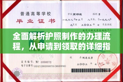 民众全面解析护照制作的办理流程，从申请到领取的详细指南