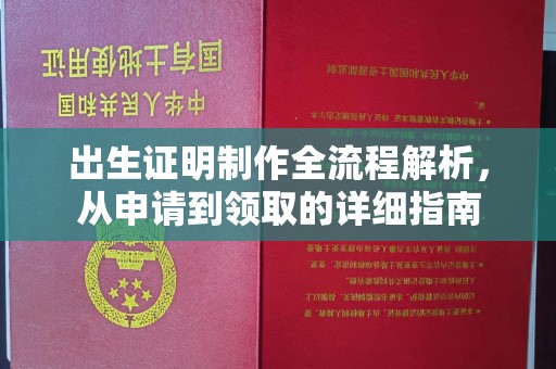 民众出生证明制作全流程解析，从申请到领取的详细指南